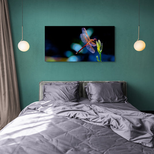 Libélula posada en una planta