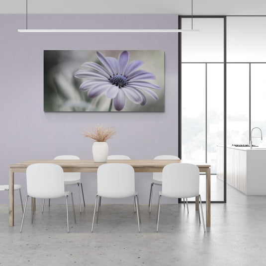 Margarita lila en primer plano