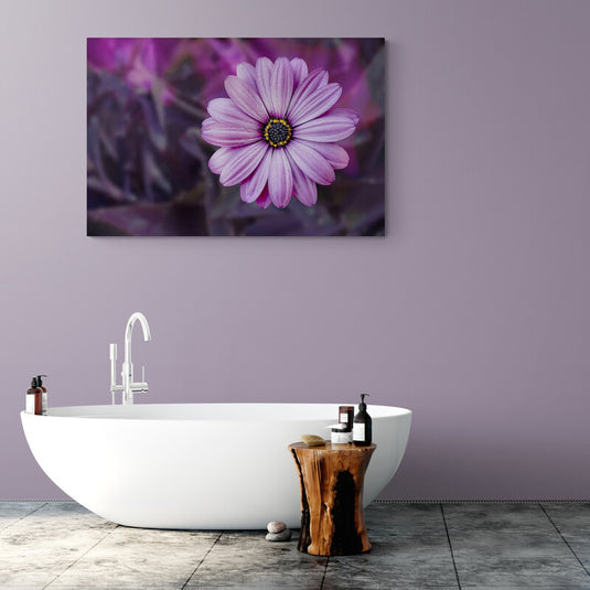 Margarita púrpura en primer plano