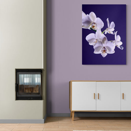 Orquídeas blancas en fondo púrpura