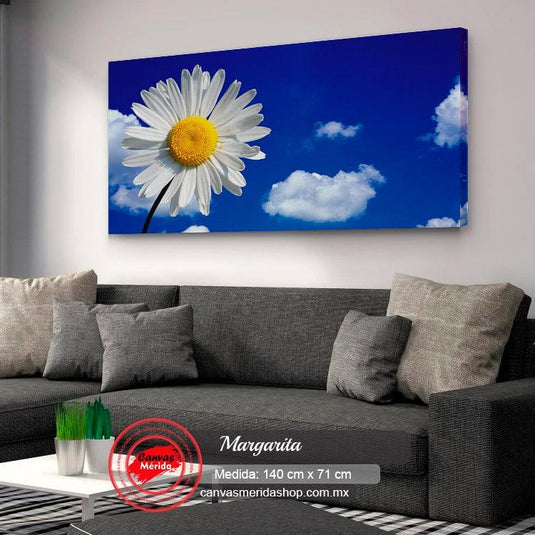 Margartia blanca bajo cielo azul con nubes