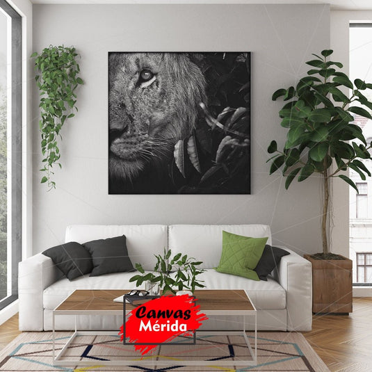 León en blanco y negro con mirada penetrante entre la vegetación