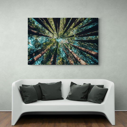 Perspectiva ascendente de grandes troncos de árboles con frondoso dosel de hojas verdes en cuadro decorativo