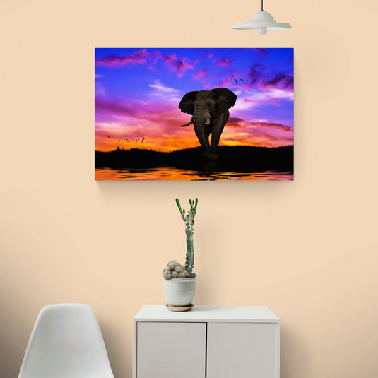 Cuadro de elefante al atardecer con reflejo en el agua