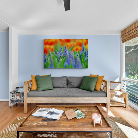 Jacintos azules en campo primaveral