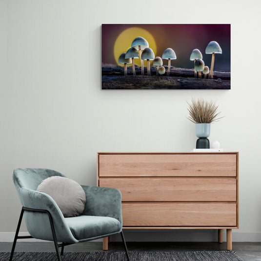 Mushrooms at Sunrise - Canvas Mérida Fine Print Art