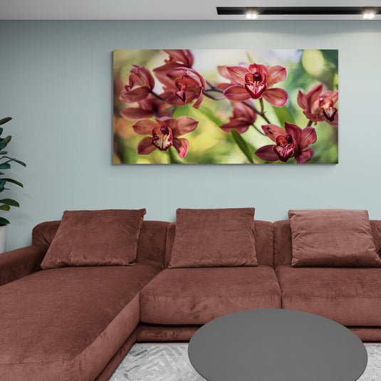 Orquídeas rojas en flor