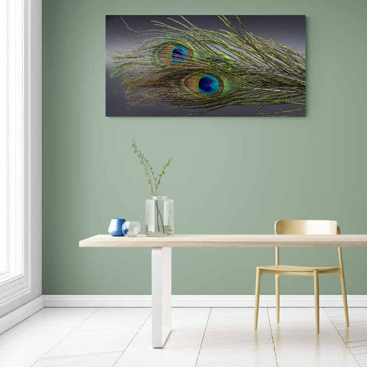 Cuadro decorativo: Plumaje de pavo real sobre fondo gris oscuro