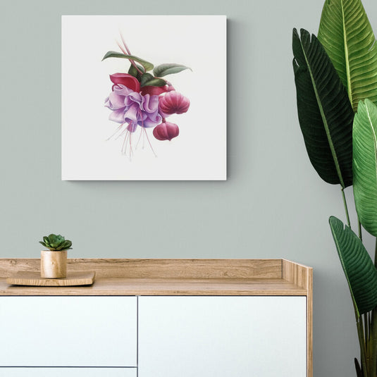 Fuchsia en tonos rosa y púrpura