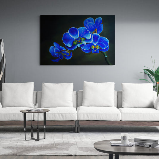 Orquídeas azules en fondo oscuro