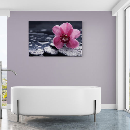 Orquídea magenta vibrante con gotas de agua sobre piedras negras