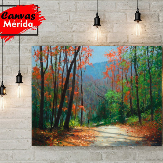 Camino rodeado de árboles de troncos delgados y hojas naranja-verde, con hojas caídas en tonos naranja y rojo en el suelo