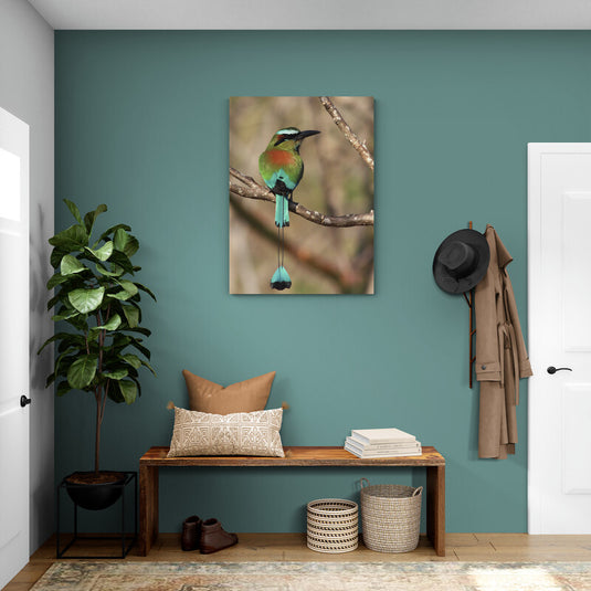 Fotografía artística de pájaro tho en tonos turquesa, negro, naranja y verde oscuro con fondo café desenfocado y ramas