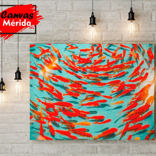 Peces Koi - Canvas Mérida Fine Print Art