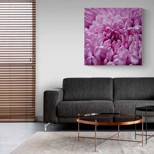 Macrofotografía de pétalos de flor en tonalidades de rosa