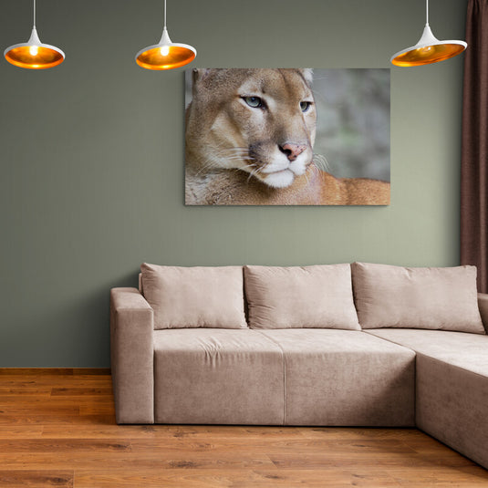 Cuadro de puma en primer plano con fondo neutro