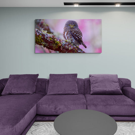 Búho Mochuelo en un Bosque de Flores Rosadas