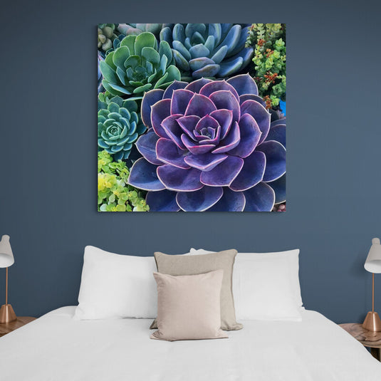 Composición de suculentas en tonos púrpura y verde
