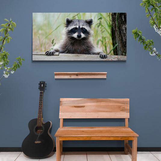 Retrato de mapache curioso