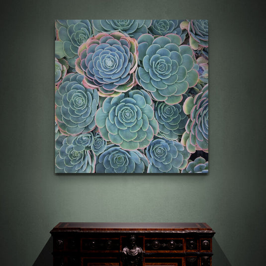 Arreglo de suculentas verdes