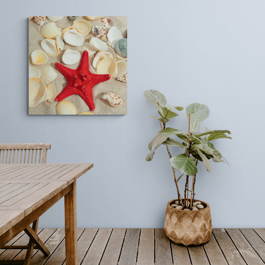 Estrella de mar roja sobre fondo de conchas y arena