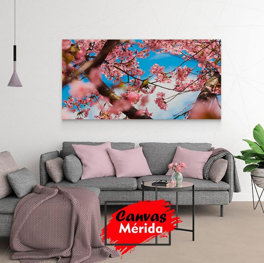 Pájaro entre flores de cerezo rosadas bajo un cielo azul