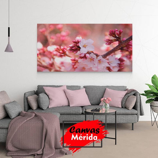 Capullos rosados y flores de cerezo blancas