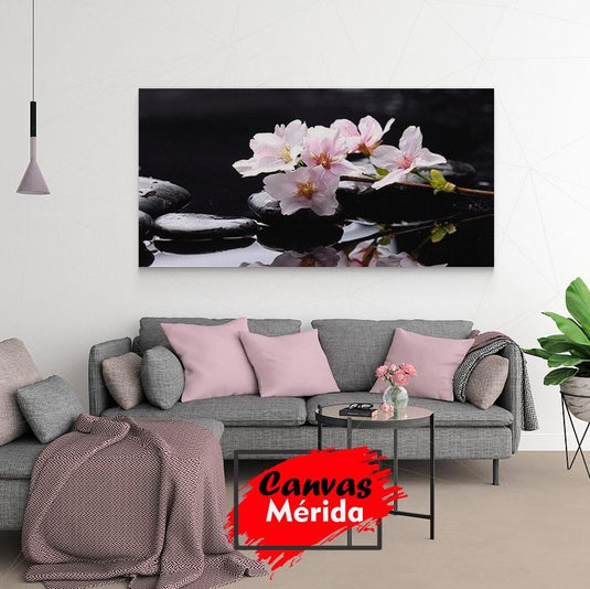 Flores de cerezo sobre piedras negras con agua