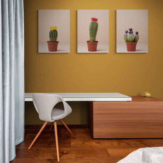 Set de cuadros decorativos con cactus florecientes en tonos amarillo, rojo y morado sobre fondo beige claro
