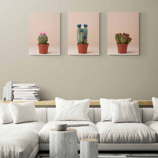 tríptico de cactus en macetas, resaltando flores coloridas sobre fondo neutro