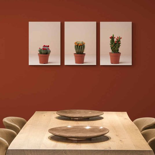 Set de cuadros decorativos con suculentas y cactus sobre fondo beige