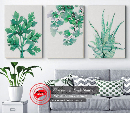 Set de cuadros acuarela: perejil, hojas verdes y suculenta en fondo claro