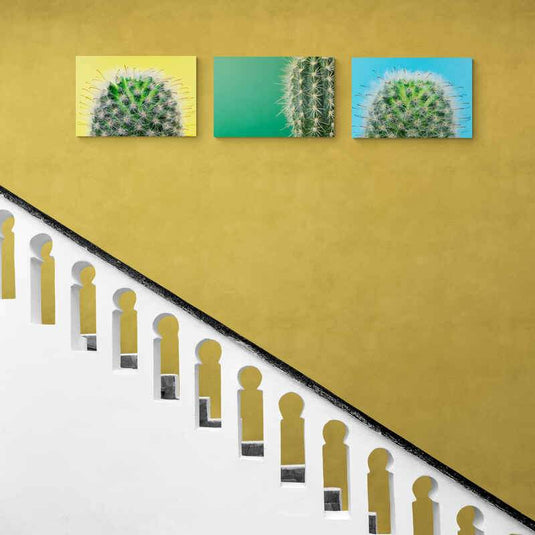 Tríptico de Cactus en Fondos Primarios: Amarillo, Verde y Azul