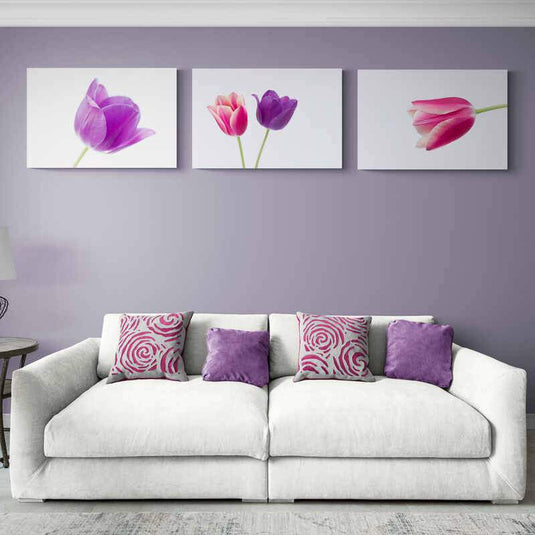 Serie de tulipanes delicados en lienzos blancos: Morado, Rosa y Fucsi