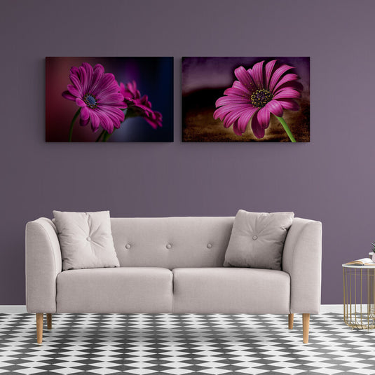 Margaritas púrpuras en primer plano