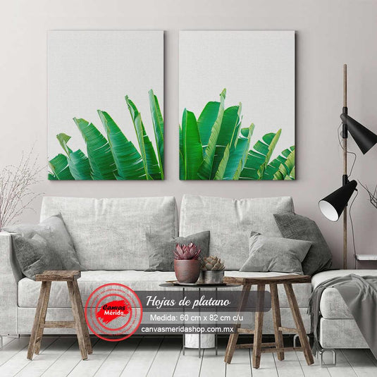Set Hojas de Plátano - Canvas Mérida Fine Print Art