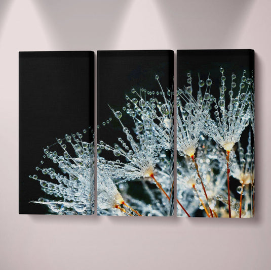 Tríptico decorativo macrofotográfico de gotas de agua sobre semillas de diente de león – arte natural elegante y detallado ideal para espacios serenos y contemporáneos