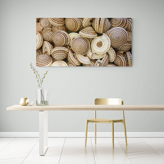 Agrupación densa de conchas marinas con patrones de rayas y espirales en tonos marrón y crema