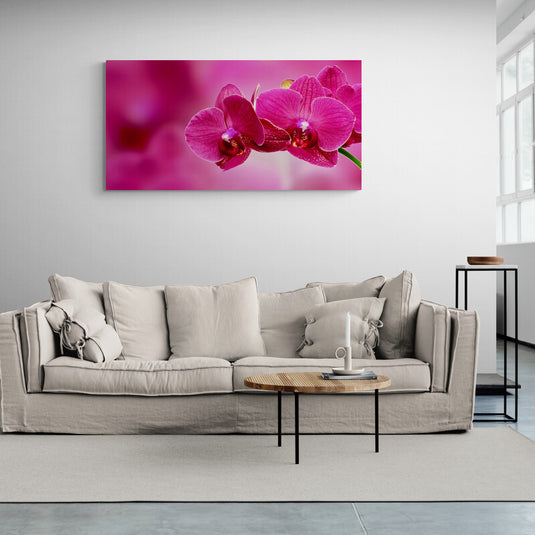 Orquídeas Fucsia en Primer Plano