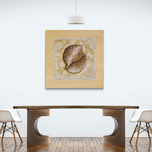 Dibujo detallado de concha marina sobre fondo de mapa náutico antiguo