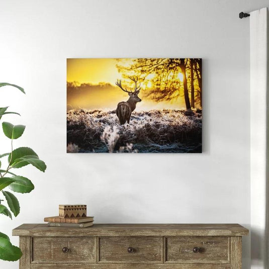 Fotografía de Ciervo en un Amanecer Dorado