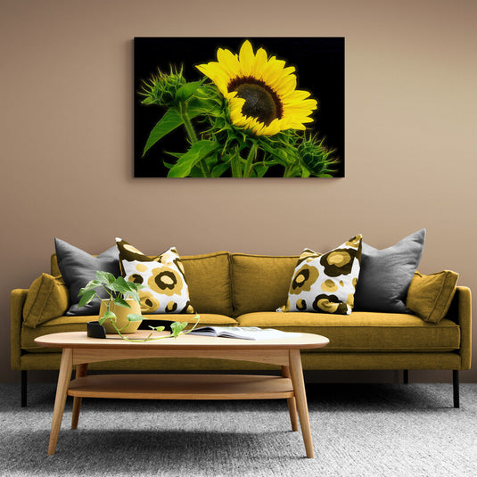 Girasol resplandeciente con fondo negro