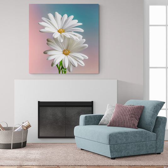 Margaritas blancas en fondo pastel