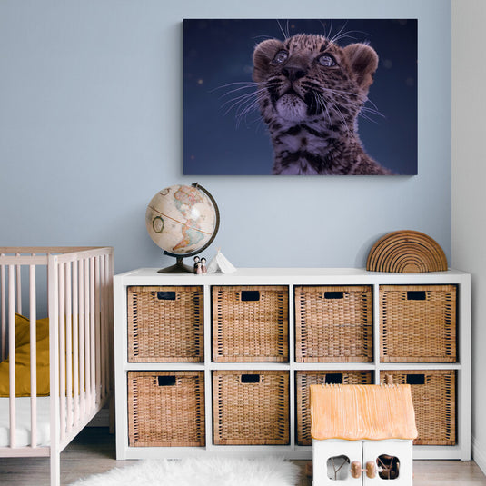 Cachorro de leopardo mirando al cielo nocturno