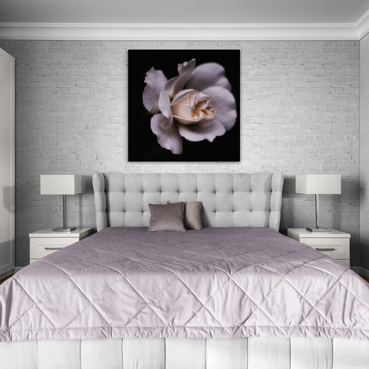 Pintura de rosa blanca sobre fondo negro