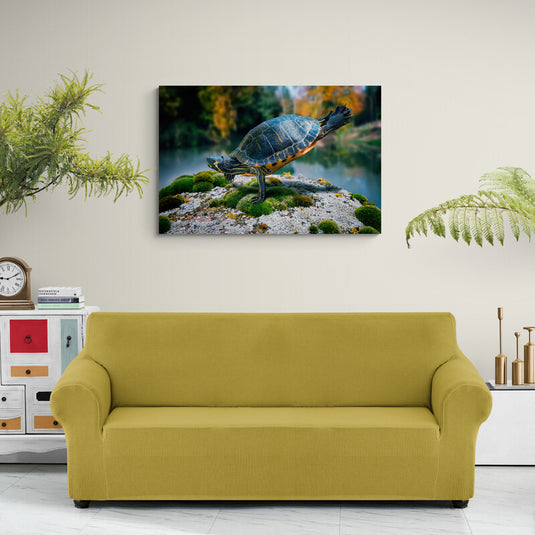 The Balance of the Turtle - Canvas Mérida Fine Print Art