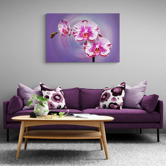 Orquídeas bicolor en fondo púrpura difuminado.