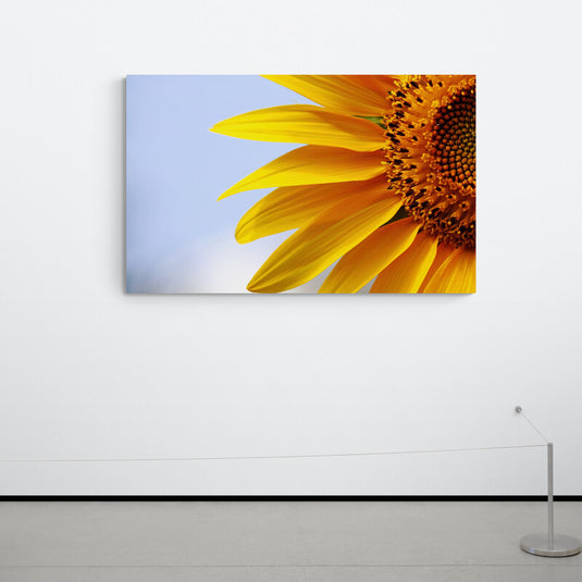 Primer plano de un girasol con pétalos amarillos bajo un cielo azul.