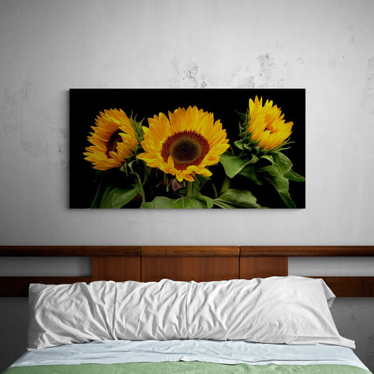 Tres girasoles vibrantes con fondo negro.