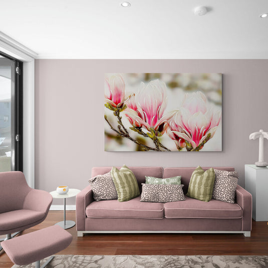 Magnolias rosadas en flor sobre fondo difuminado.